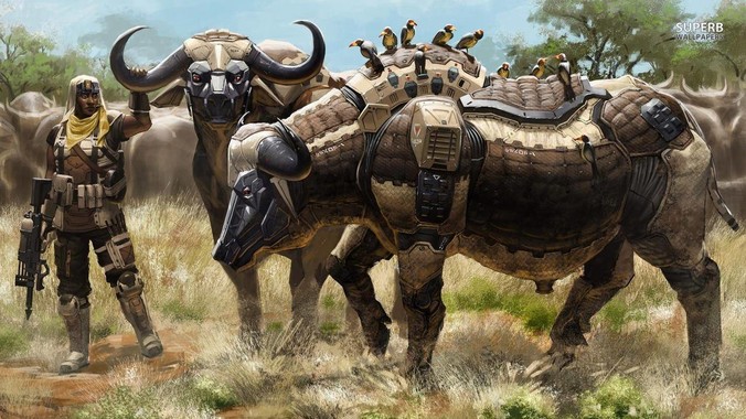 草龟为啥那么容易死啊？